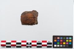 Foto von Eisenamboß (NHMW-PRAE-024554)